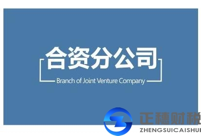 广州注册外资公司-分公司